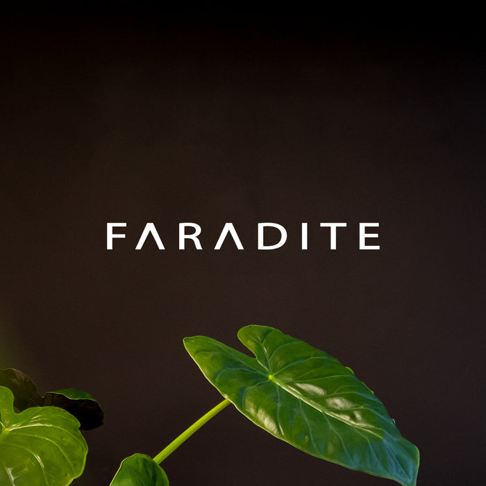 Faradite logo on a black wall with plants