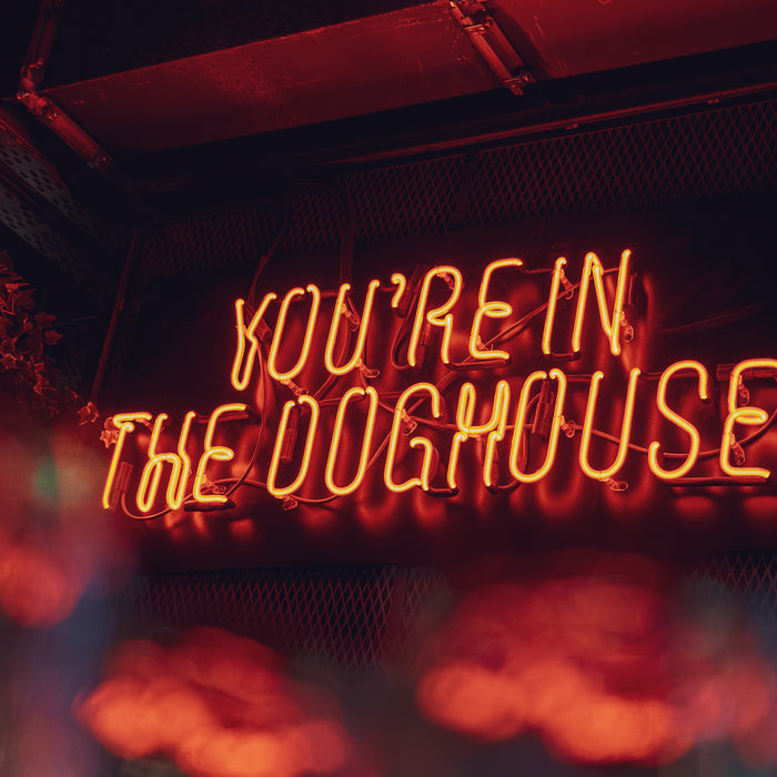 Case Study - The Doghouse Hotel