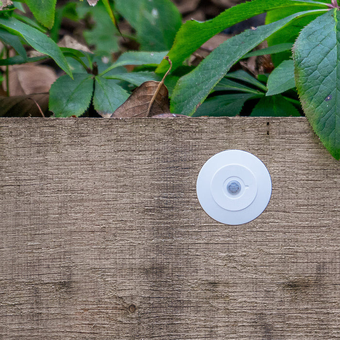 Faradite PIR motion sensor outdoors in a garden